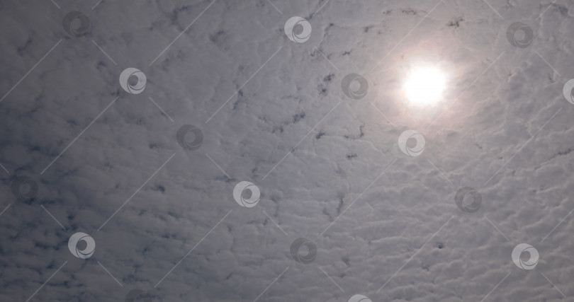 Скачать облачное утреннее небо, фон природы фотосток Ozero