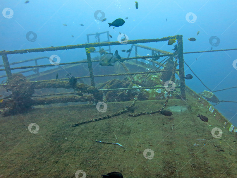 Скачать крупное кораблекрушение на песчаном морском дне на Бали фотосток Ozero