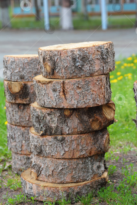 Скачать Поперечное сечение ствола дерева, показывающее годичные кольца фотосток Ozero