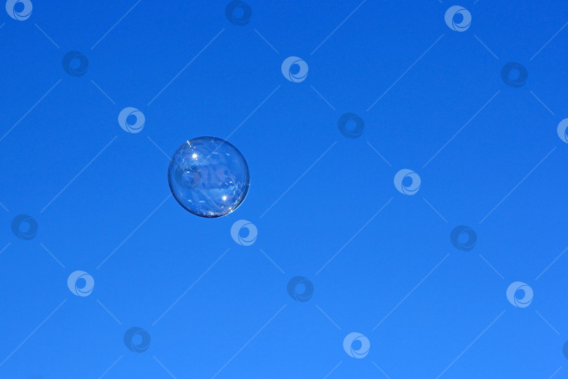 Скачать Мыльный пузырь, летящий на фоне голубого неба фотосток Ozero