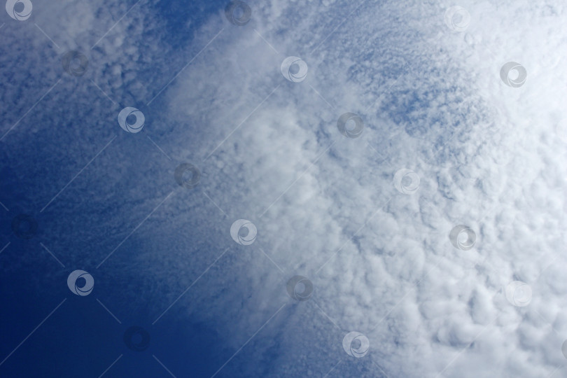 Скачать Красивое небо с белыми облаками на естественном фоне. фотосток Ozero