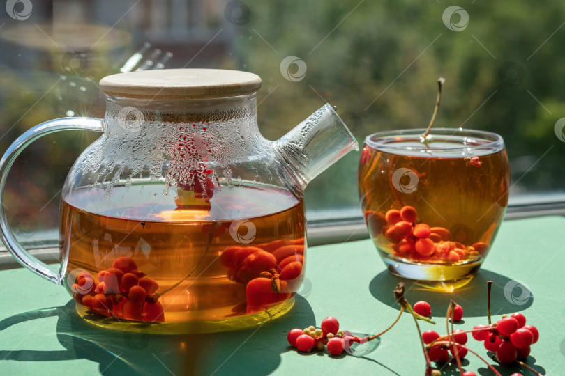 Скачать Чай с ягодами в стеклянном чайнике на окне фотосток Ozero