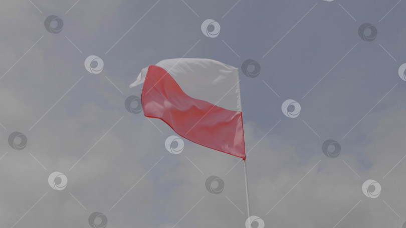 Скачать Флаг Польши на флагштоке развевается на ветру на фоне голубого неба с облаками. фотосток Ozero