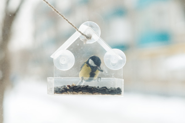 [object Object] undefined