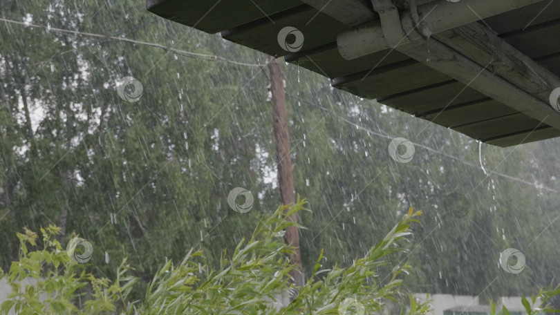Скачать Проливной дождь на фоне солнечного света весенней или летней природы фотосток Ozero