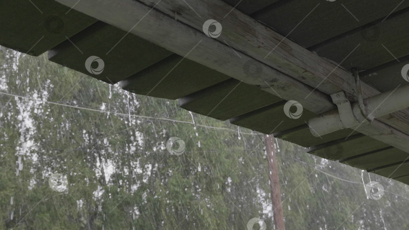 Скачать Проливной дождь на фоне солнечного света весенней или летней природы фотосток Ozero