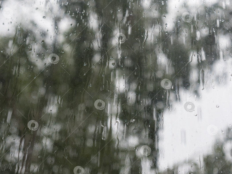 Скачать Капли дождя на поверхности оконных стекол с деревьями на фоне неба фотосток Ozero