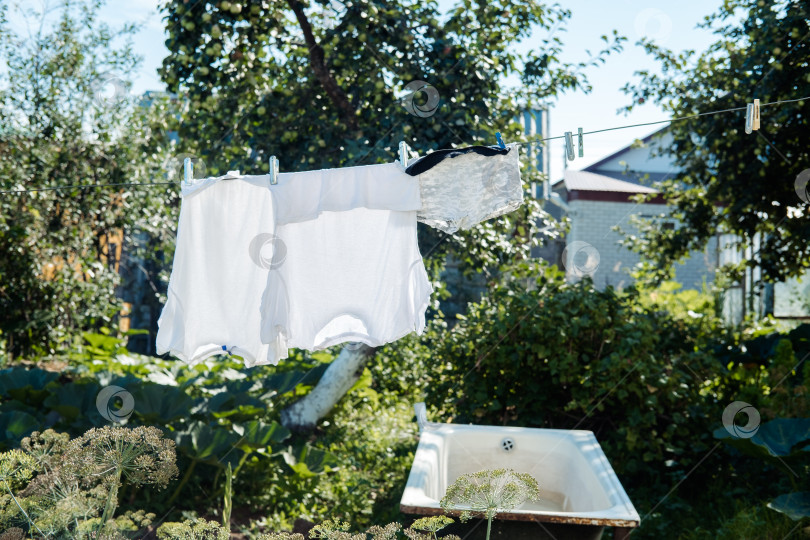 Скачать летом в деревне в солнечный день сушат выстиранную одежду на бельевых веревках фотосток Ozero