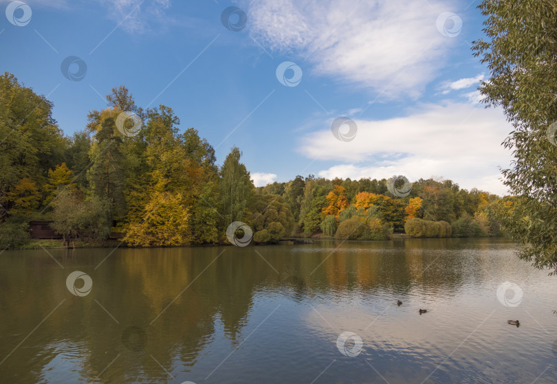 Скачать Осенняя листва с отражением воды природный ландшафт фотосток Ozero