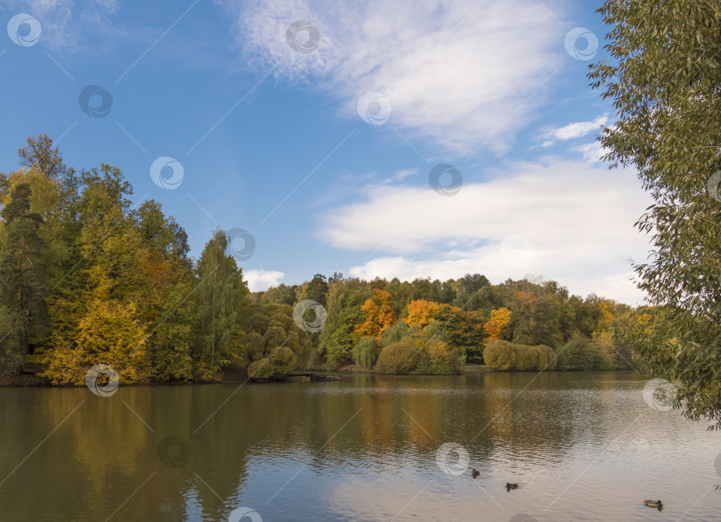 Скачать Осенняя листва с отражением воды природный ландшафт фотосток Ozero