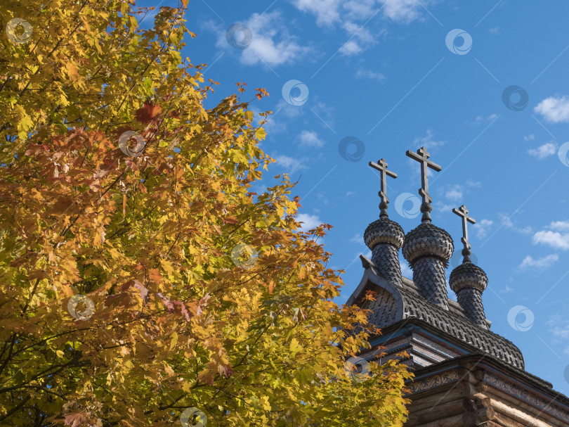 Скачать Осенний пейзаж с колокольней церкви в России фотосток Ozero