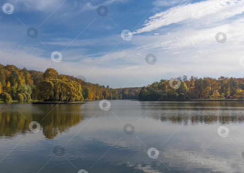 Скачать Осенняя листва с отражением воды природный ландшафт фотосток Ozero