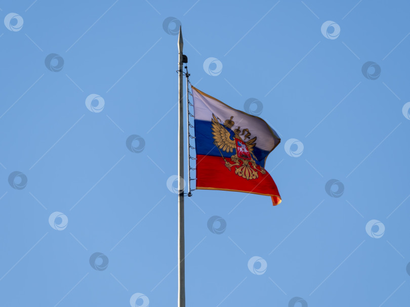 Скачать Российский флаг развевается на ветру на флагштоке фотосток Ozero