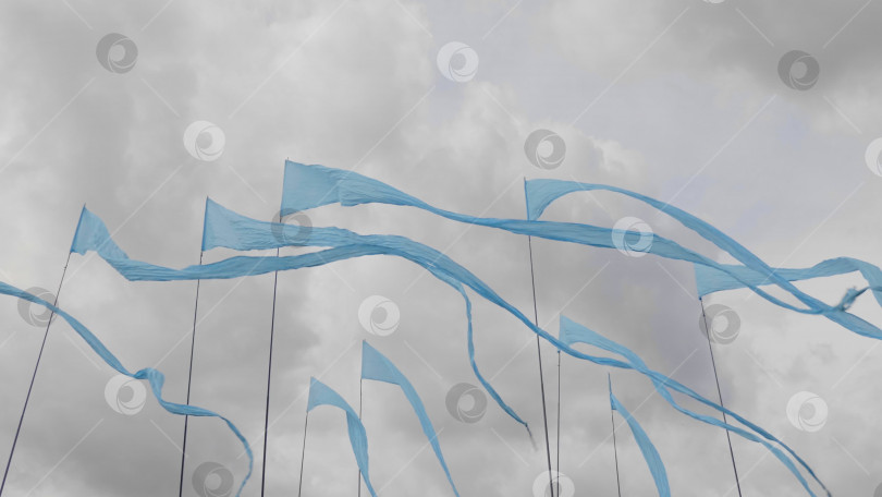Скачать Голубые флаги развеваются на ветру на фоне зеленой травы фотосток Ozero