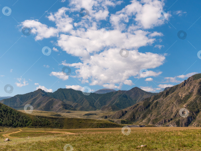 Скачать пейзаж Алтайских гор в Сибири, Россия фотосток Ozero