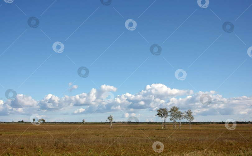 Скачать и пейзаж с облаками и полем до самого горизонта. фотосток Ozero