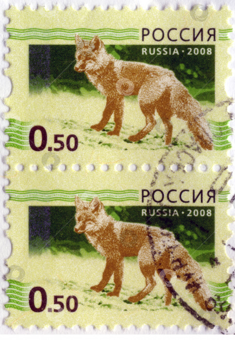 Скачать РУССКИЙ -ОКОЛО 2008 года: На марке, напечатанной в Российской Федерации, изображена лиса (Vulpes vulpes), около 2008 года фотосток Ozero