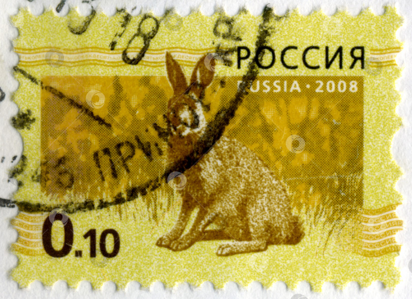 Скачать РОССИЯ - ОКОЛО 2008 года: Марка, напечатанная в РОССИИ, с изображением зайца-кролика около 2008 года. фотосток Ozero
