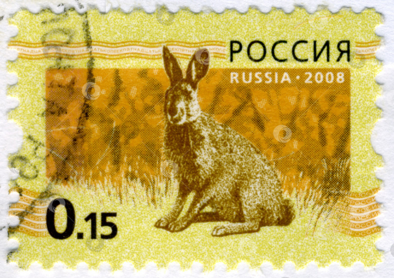 Скачать РОССИЯ - ОКОЛО 2008 года: Марка, напечатанная в РОССИИ, с изображением зайца-кролика около 2008 года. фотосток Ozero