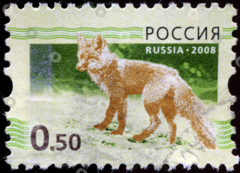 Скачать РУССКИЙ -ОКОЛО 2008 года: На марке, напечатанной в Российской Федерации, изображена лиса (Vulpes vulpes), около 2008 года фотосток Ozero