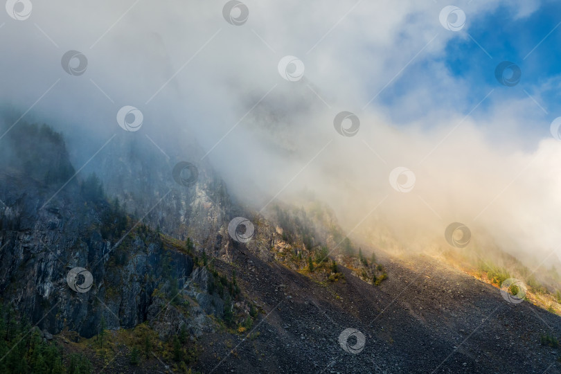 Скачать Мистические горы. Атмосферный пейзаж на вершине горного хребта над густыми низкими облаками. Красивый альпийский пейзаж с горным хребтом над плотными облаками. фотосток Ozero