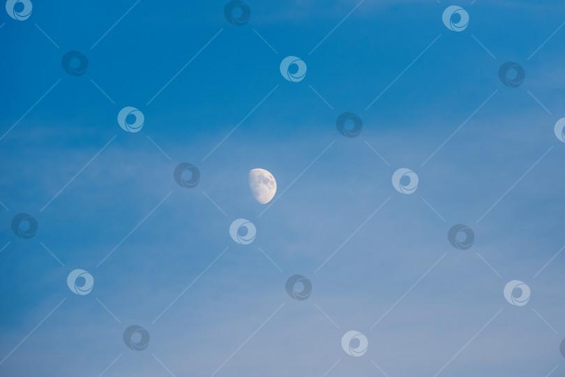 Скачать Белая луна в вечернем голубом небе. Пространство для копирования. фотосток Ozero