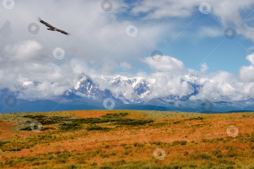 Скачать Пейзаж сафари, прекрасная осень в горной тундре. фотосток Ozero