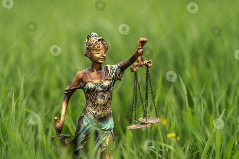 Скачать Статуя Фемиды в траве. Символ справедливости и закона, преступления и наказания. фотосток Ozero
