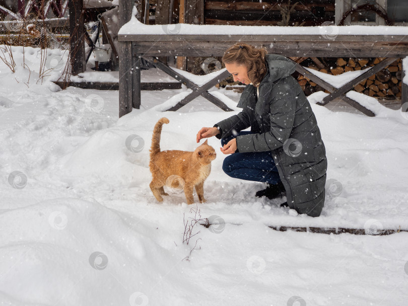 Скачать Самка укладывает большую рыжую пушистую кошку. Домашние животные, Рождество и концепция hygge - рыжий полосатый кот зимой на снегу. Рыжий кот ласкается. Уход за уличными животными зимой в сильные морозы. фотосток Ozero