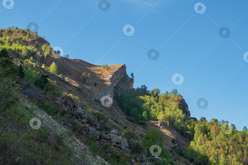 Скачать Минималистичный альпийский пейзаж с раскосым большим горным хребтом, зеленым лесом и скалами под голубым небом. Живописный солнечный горный пейзаж с высоким горным хребтом в солнечном свете. фотосток Ozero