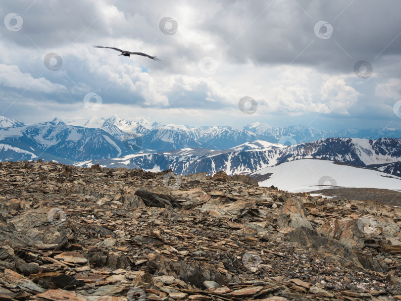 Скачать Драматический альпийский пейзаж с пропастью и высоким горным хребтом с летящей птицей под облачным небом. Красочный пейзаж с острыми скалами у края пропасти и большим горным хребтом в переменчивую погоду. фотосток Ozero
