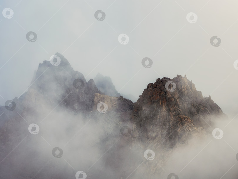 Скачать Горы в густом тумане. Мистический пейзаж с красивыми острыми скалами в низких облаках. Красивый горный туманный пейзаж на краю пропасти с острыми камнями. фотосток Ozero