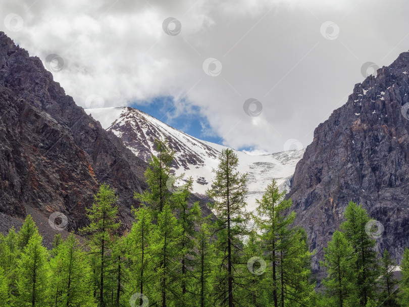Скачать Минималистский атмосферный горный пейзаж с большой заснеженной горной вершиной над альпийским зеленым лесом. Потрясающий минималистичный пейзаж с ледником на скалах. фотосток Ozero
