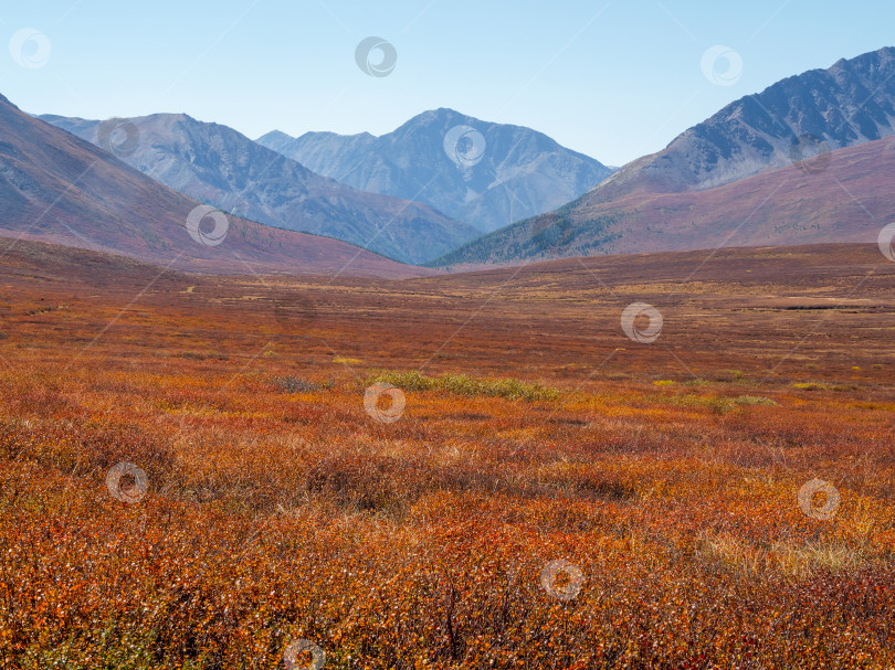 Скачать Минималистичный красочный горный пейзаж со склоном холма в золотистом солнечном свете осенью в пастельных тонах. Диагональ залитого солнцем оранжевого склона горы. фотосток Ozero