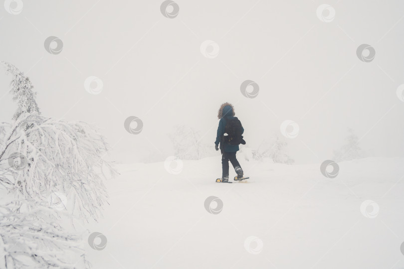 Скачать Полярная экспедиция. Одинокий путник на снегоступах идет по заснеженному склону в туманной морозной пелене. Суровая северная погода, плохая видимость. фотосток Ozero