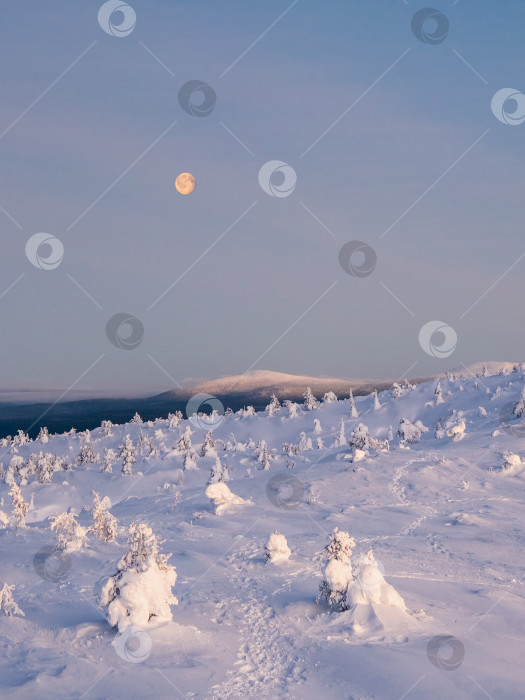 Скачать Красная полная холодная луна над заснеженным склоном. Зимний полярный пейзаж с конусообразной горой. Холодная зимняя погода. Суровый северный климат. Минималистичный вертикальный вид. фотосток Ozero