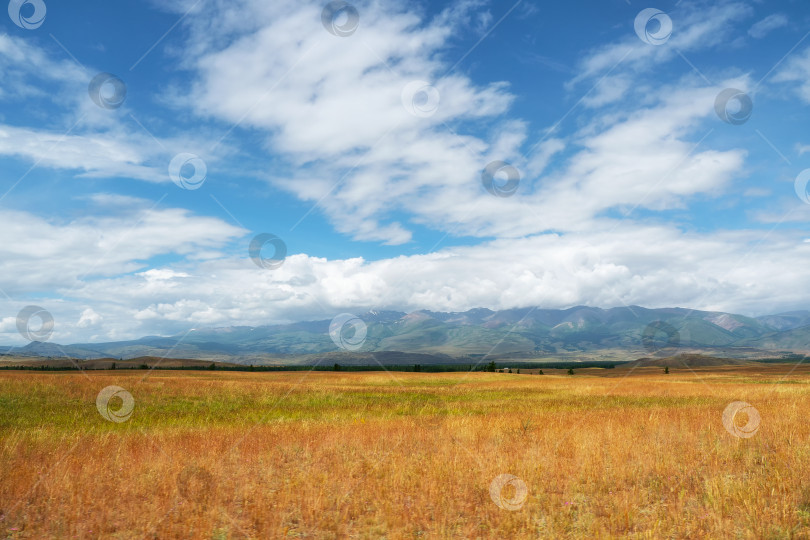 Яркий осенний степной пейзаж. Степь на фоне гор. Фон сельскохозяйственного  поля и гор. - Ozero - российский фотосток