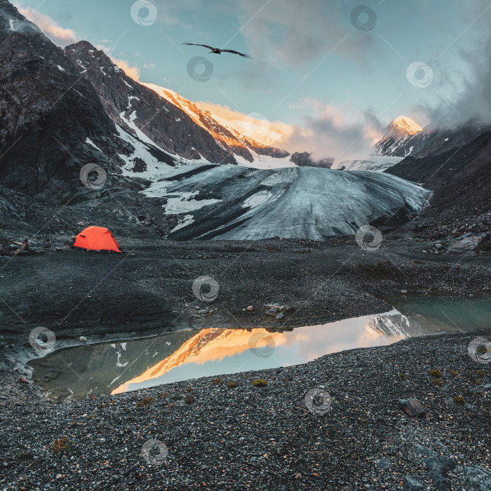 Скачать Экстремальный кемпинг. Оранжевая усиленная палатка на фоне большого ледника на высокогорном плато. Альпинистский лагерь на Голубом озере с отражением. Актру. фотосток Ozero