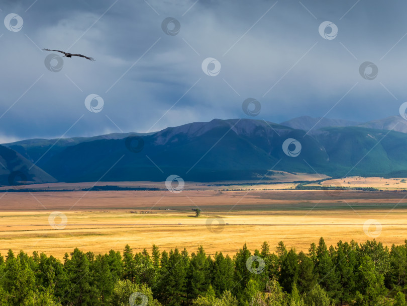 Скачать Яркий летний степной пейзаж. Степь на фоне гор. Фон сельскохозяйственного поля и гор. фотосток Ozero