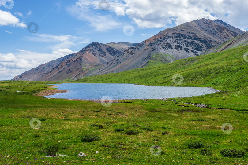 Скачать Красочный летний пейзаж с прекрасным озером в залитой солнцем зеленой горной долине среди скал и высокого горного хребта под голубым небом. Потрясающий пейзаж с альпийским озером среди зелени в солнечном свете. фотосток Ozero