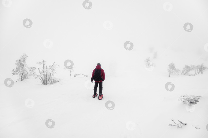 Скачать Мягкий фокус. Одинокий путешественник с рюкзаком на снегоступах идет по заснеженному склону в туманной пелене мороза. Суровая северная погода, плохая видимость. Полярная экспедиция. Пространство для копирования. фотосток Ozero
