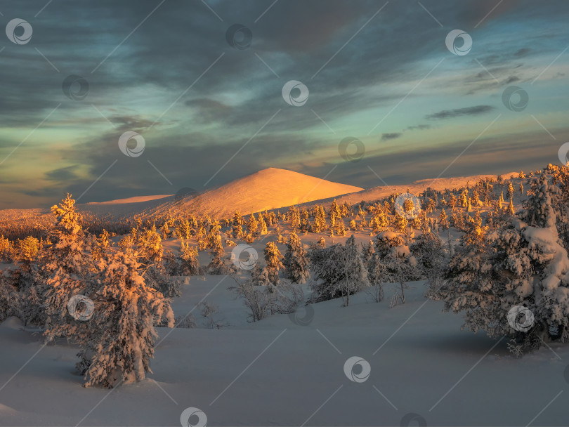 Скачать Коппер-хилл. Красивая солнечная полярная гора с темным вечерним небом. Закат в зимних горах Хибин, Кольский полуостров, Россия. фотосток Ozero