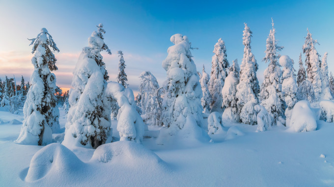 [object Object] undefined