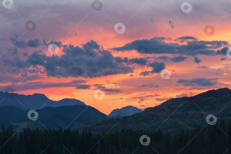 Скачать Рассвет в горах. Красочный природный пейзаж с закатом или восходом солнца.  Атмосферный пейзаж с силуэтами гор и деревьев на фоне оранжевого рассветного неба. фотосток Ozero