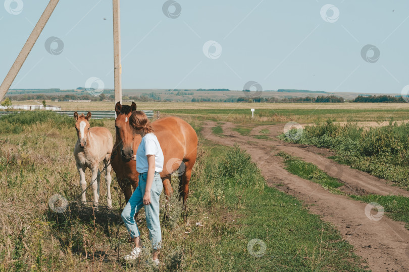 Скачать девушка гладит лошадь на лугу. Доверие и нежность девушки к лошади фотосток Ozero