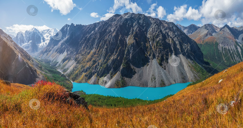 Скачать Панорамный осенний вид на горное озеро на фоне гор. Атмосферный золотистый пейзаж с озером в высокогорной долине. фотосток Ozero