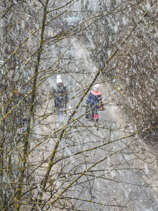 Скачать Люди под снегом на улице во время пандемии фотосток Ozero