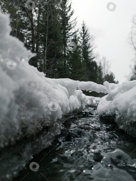 Скачать Весна фотосток Ozero