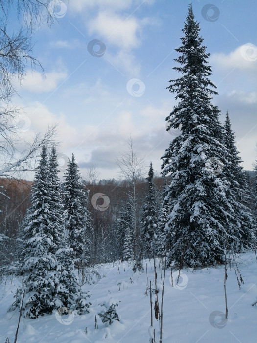 Скачать Поздняя осень в горах фотосток Ozero