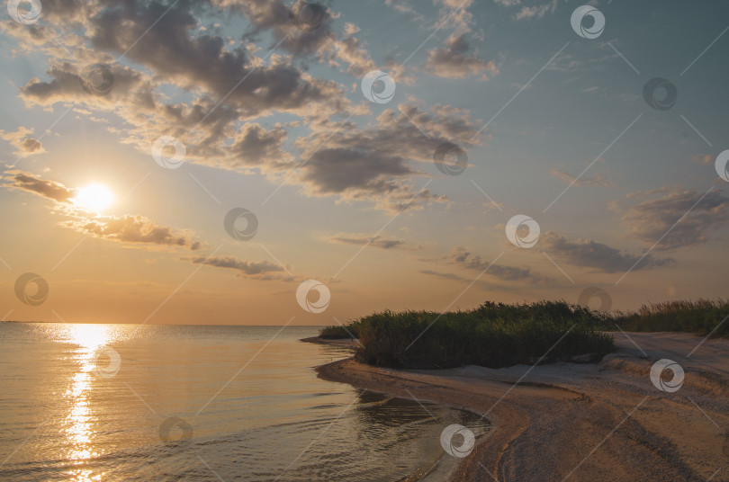 Скачать Золотой вечер над морем. фотосток Ozero